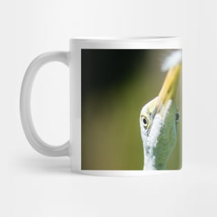 Close up of a Great egret Mug